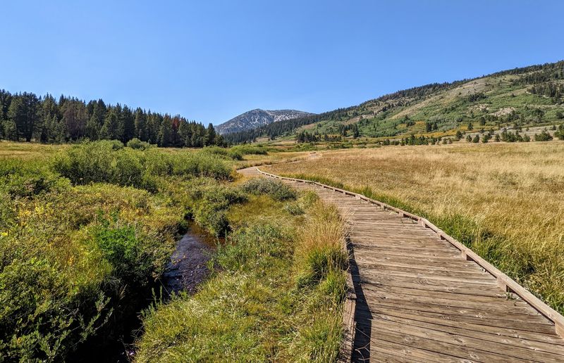 Where The Boardwalk Begins