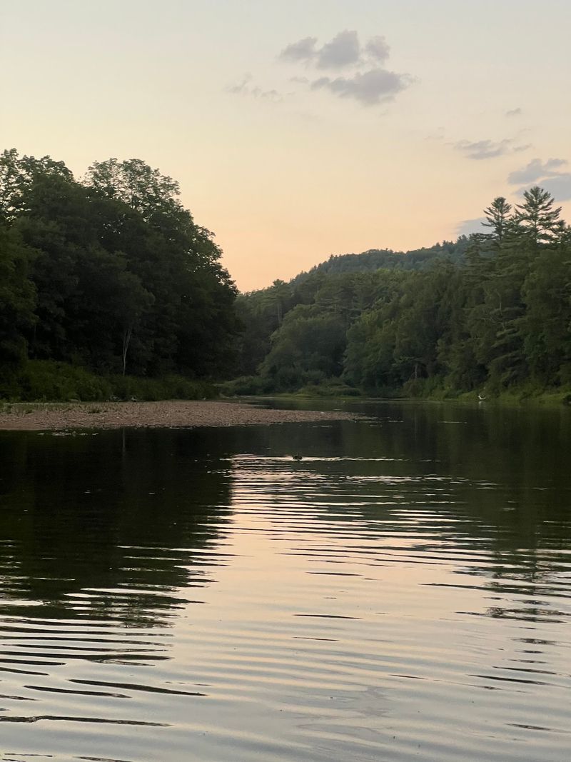 Herons, Beavers, And Other Neighbors