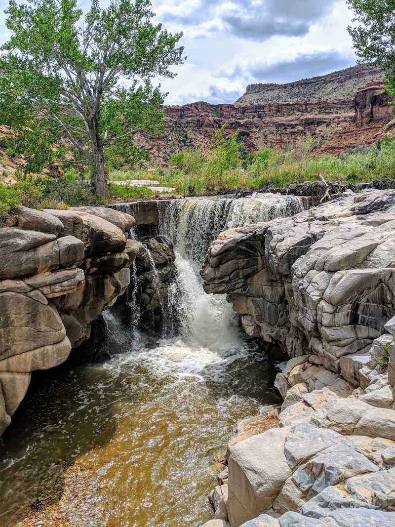 How You Can Help Protect The Canyon
