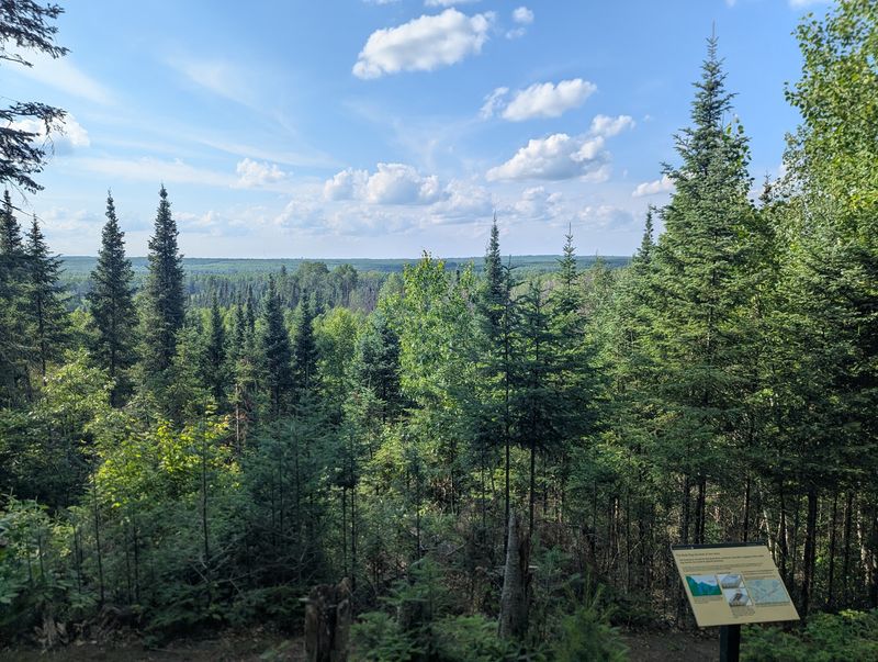 Planning Your Visit For The Best Odds And The Best Views