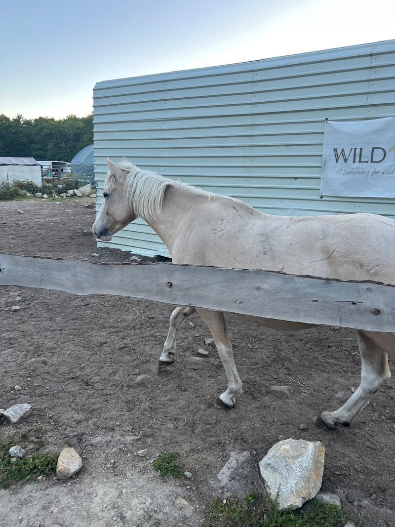 Planning Around The Sanctuary's Hours