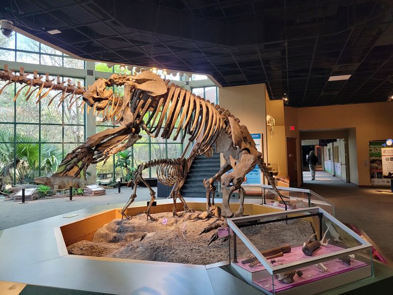 Meet The Short Faced Bear, A True Heavyweight
