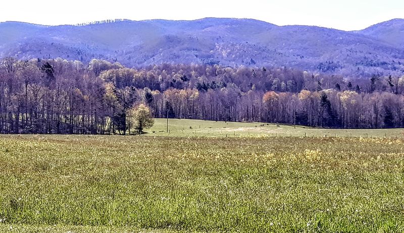Cherokee National Forest Right Outside The Door