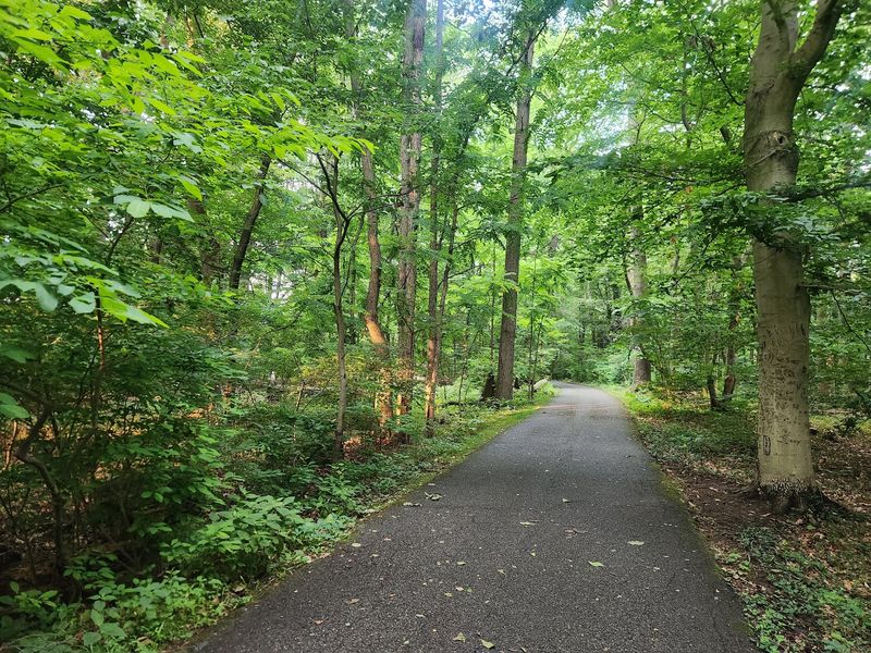 Bellevue State Park