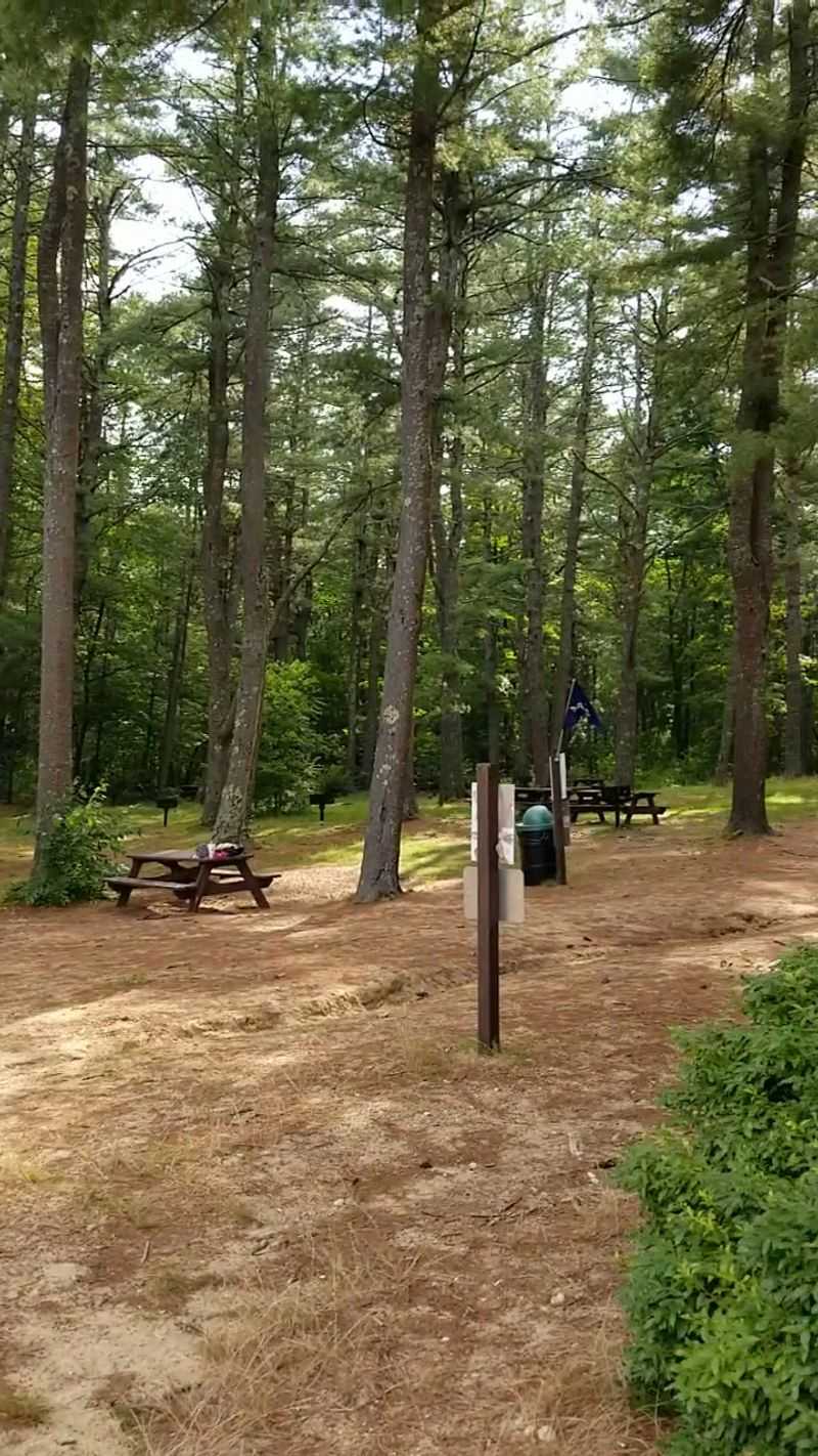Picnic Like You Mean It