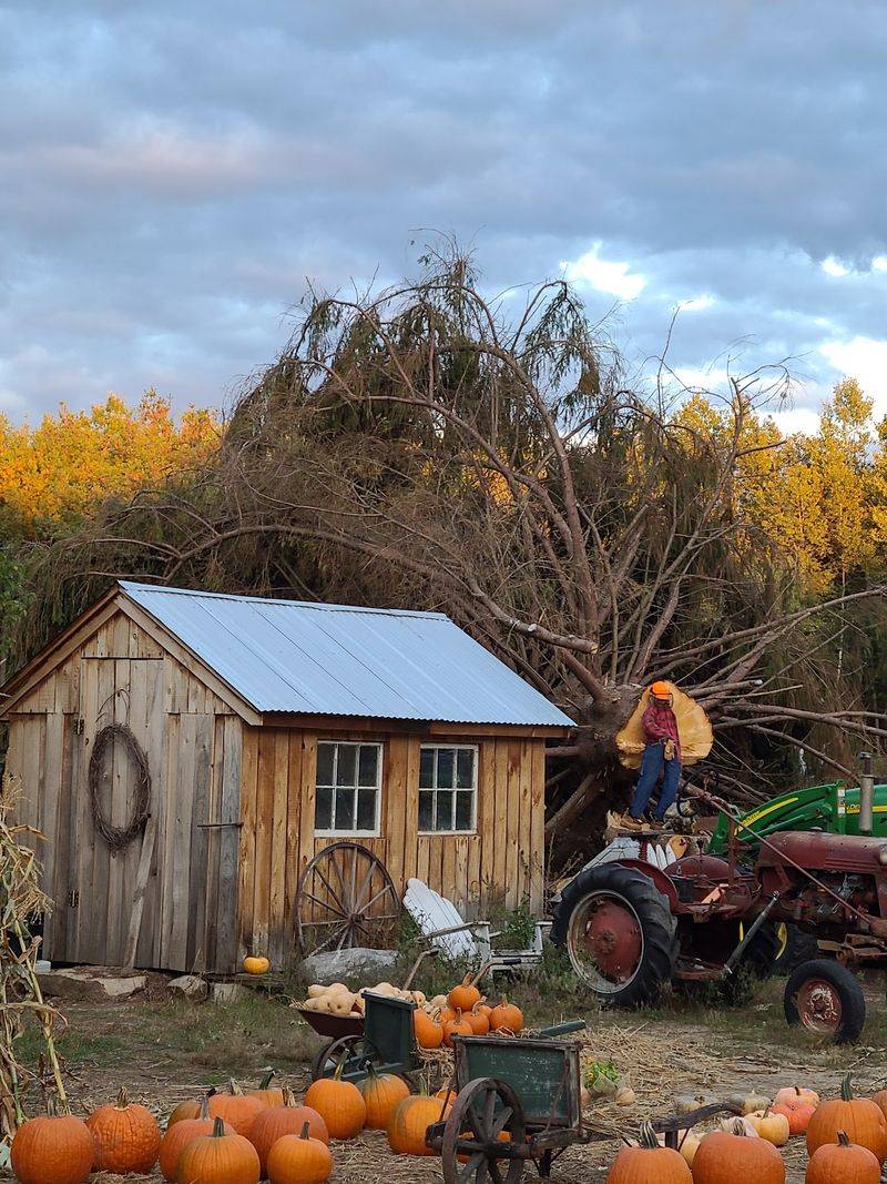 Bigfoot Hunts, Zombie Walks, And Elves On Shelves