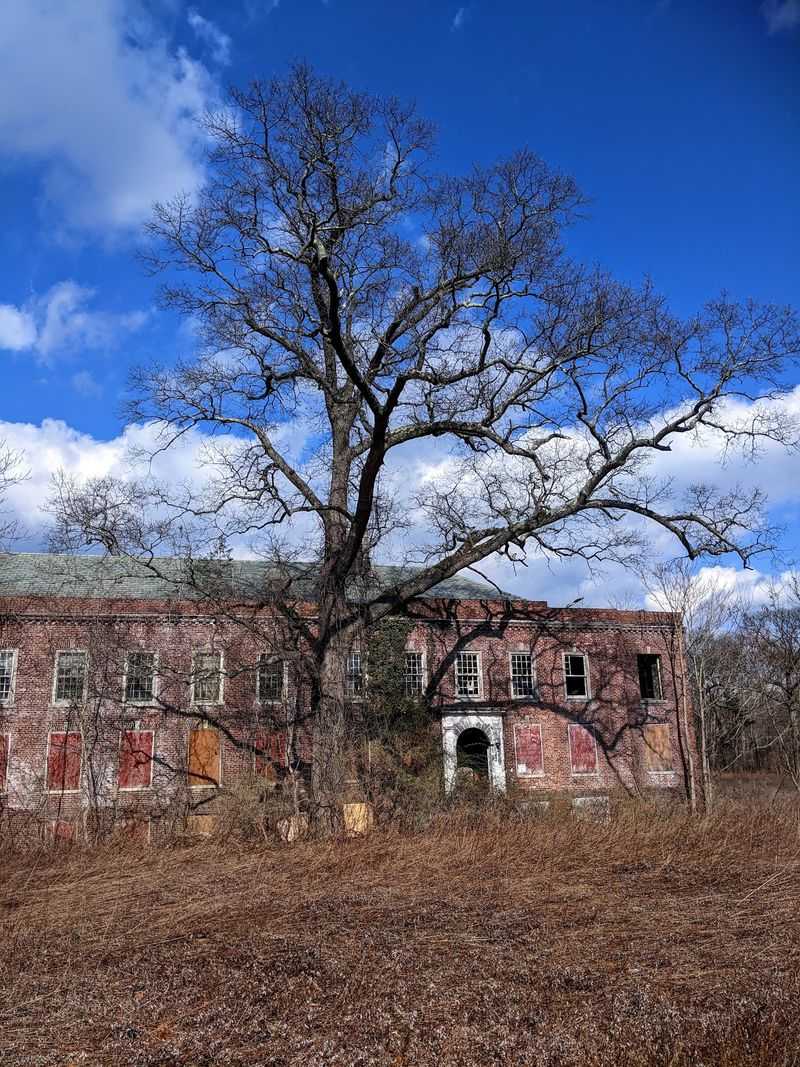 Nissequogue River State Park Rises From the Ruins