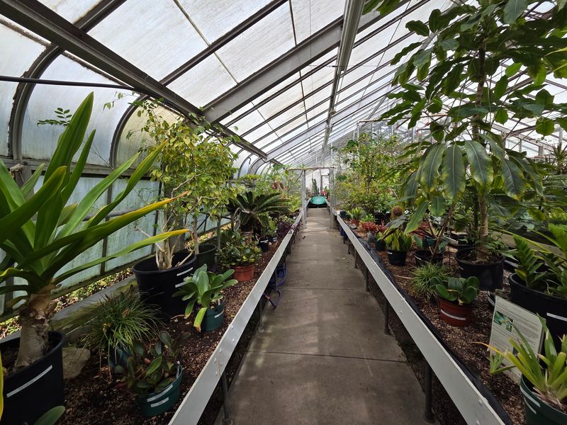 Rainforest Magic Indoors
