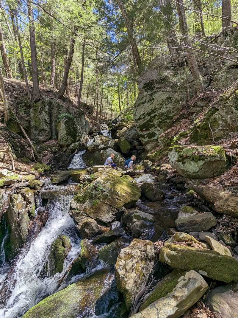 Schermerhorn Gorge, A Geological Standout