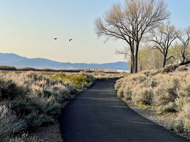 Hiking, Biking, And Getting Outdoors