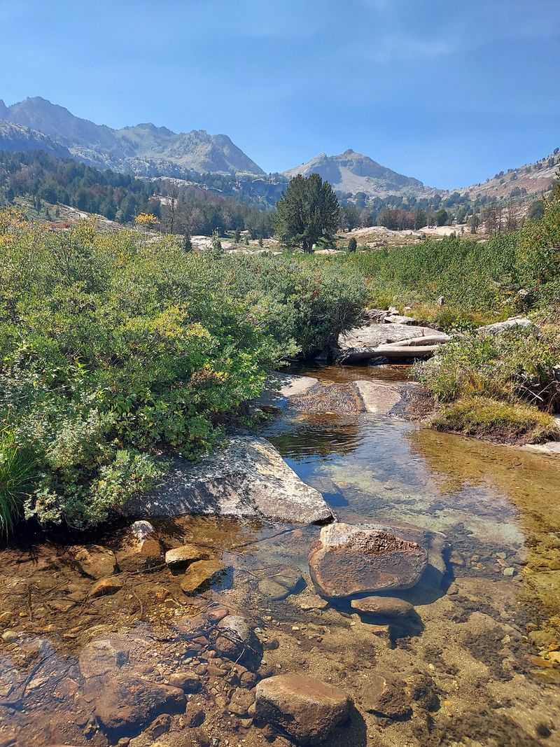 Fishing In The Most Unlikely Desert State