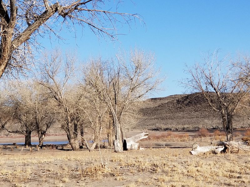 Petroglyphs That Predate The Reservoir Itself