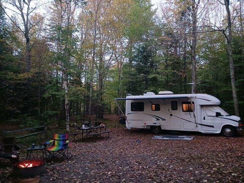 Campgrounds Shaded By Old Trees