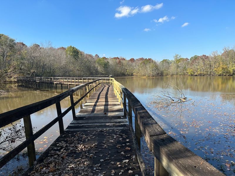 Cypress Grove Nature Park Boardwalk, Jackson