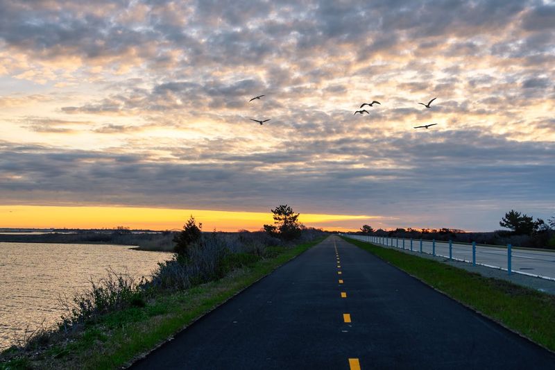 Planning Your Visit: Tips For First-Time Riders