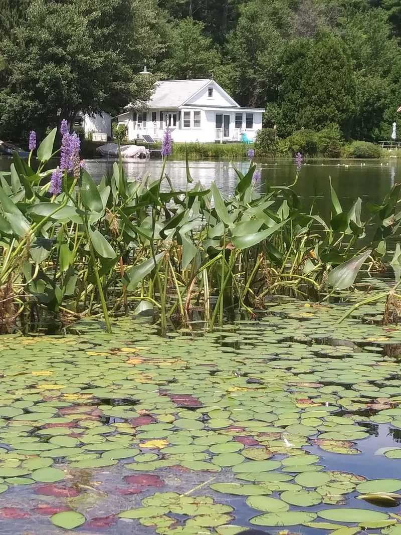 A Lake With Old Stories