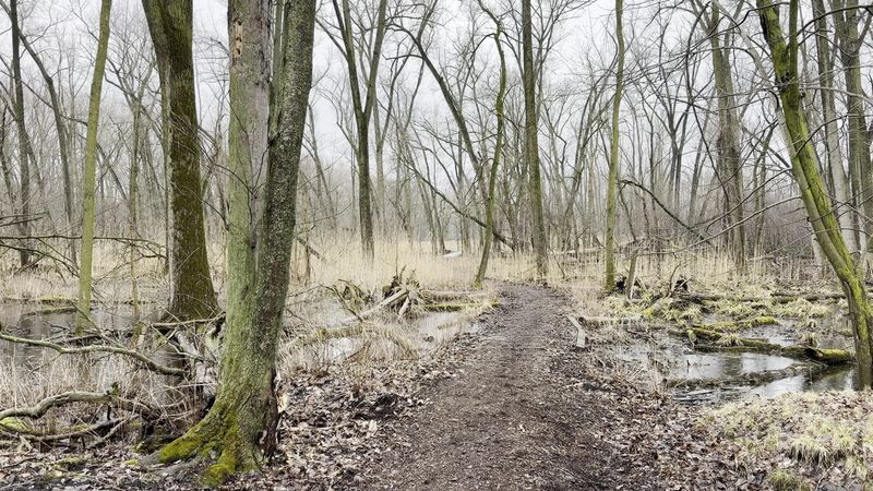 Trails That Suit Strollers, Sneakers, And Cross-Country Skis