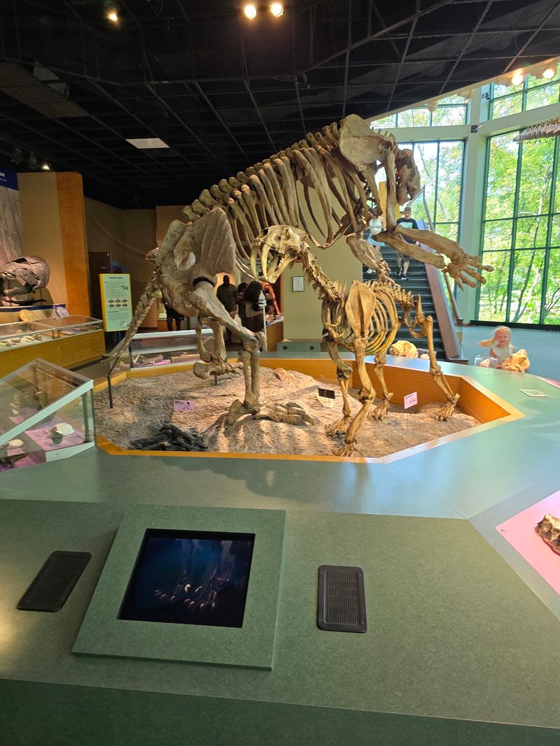 Macrauchenia And The Irish Elk Round Out The Herd