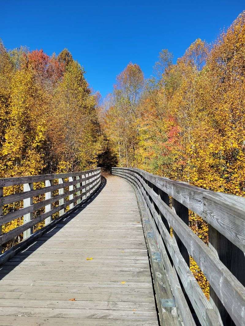 Virginia Creeper Trail Access For Active Lifestyles