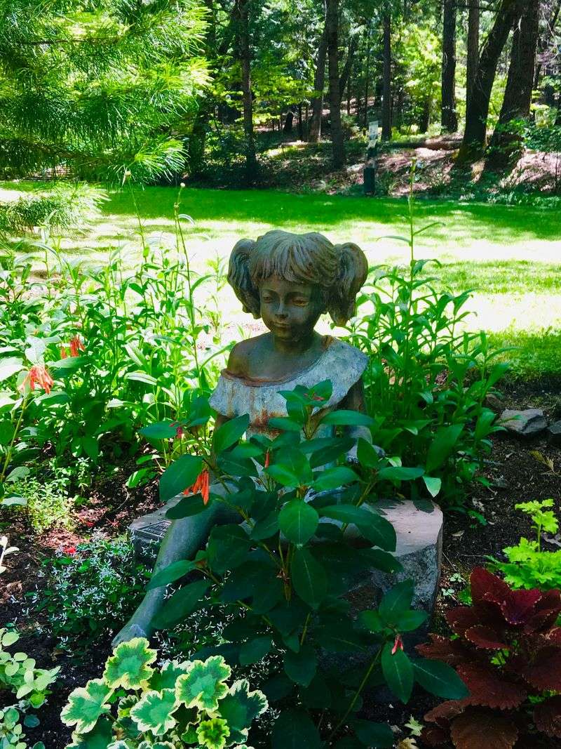 The Botanical Gardens And Downtown Charm