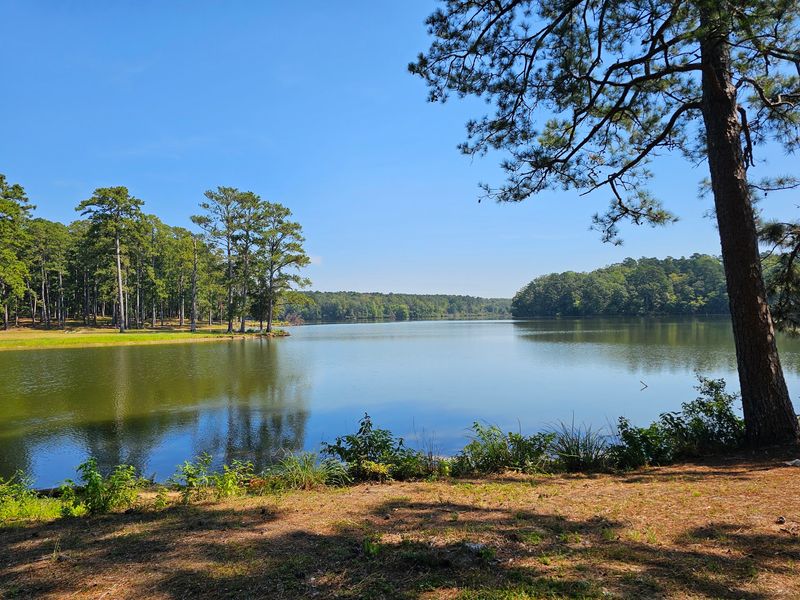 Lake Lowndes State Park - Columbus