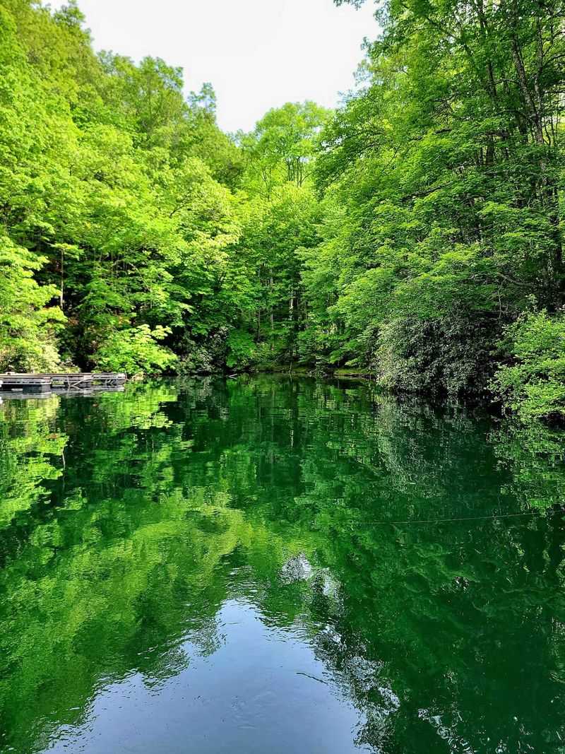 Nature's Own Show