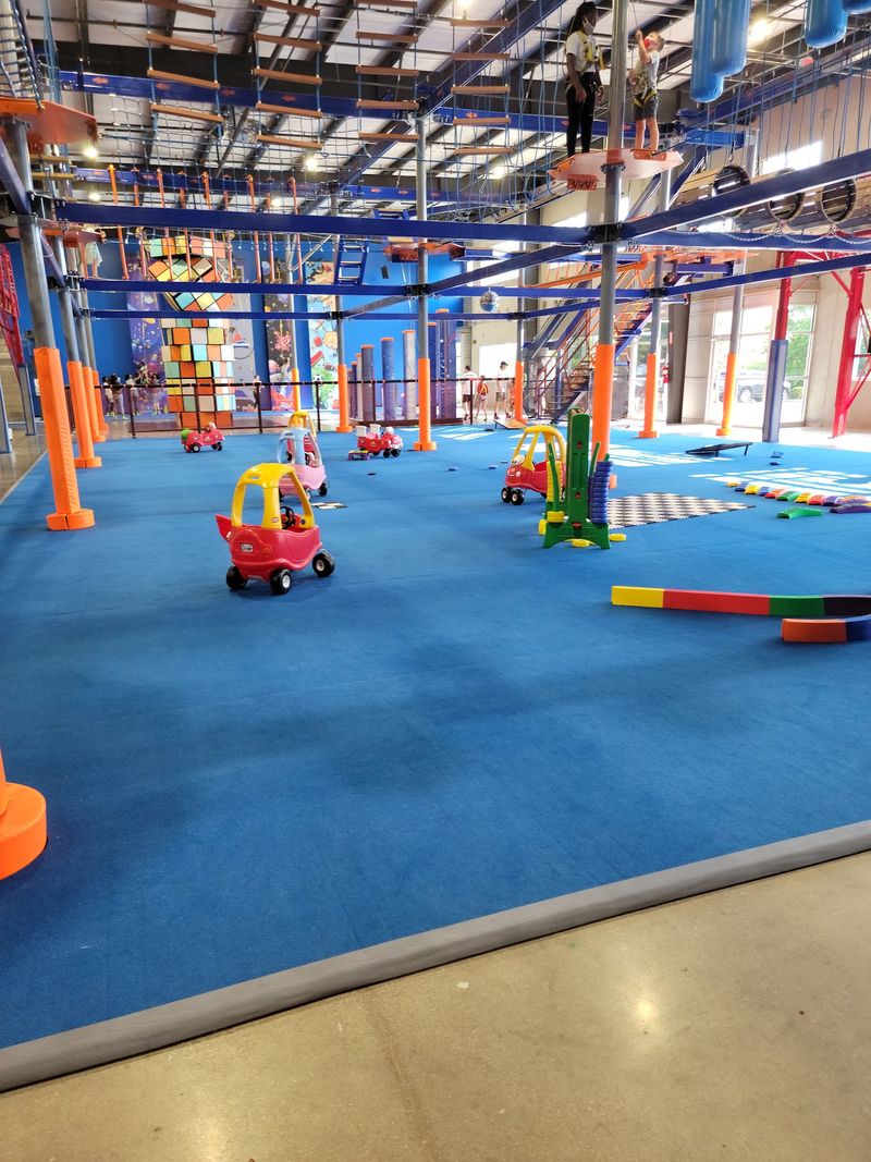 Spinning Bumper Cars Steal the Show