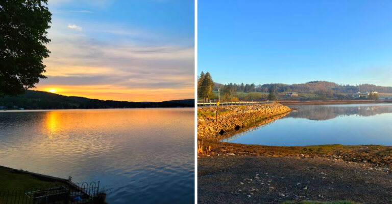8 New York Lakes Where Toxic Algae Blooms Have Been Reported This Summer