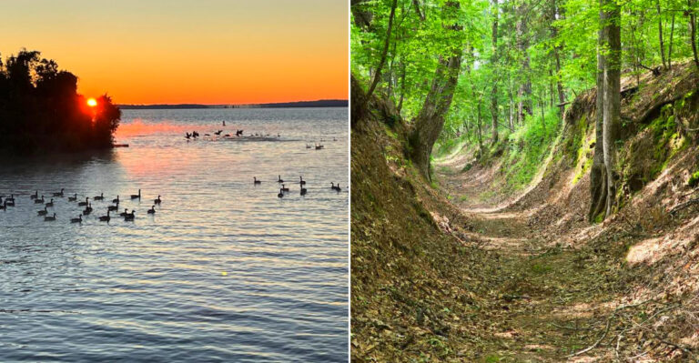 9 Free Mississippi Nature Trails Where You Can Walk Past Historic Ruins, Wildflowers, And Old Foundations
