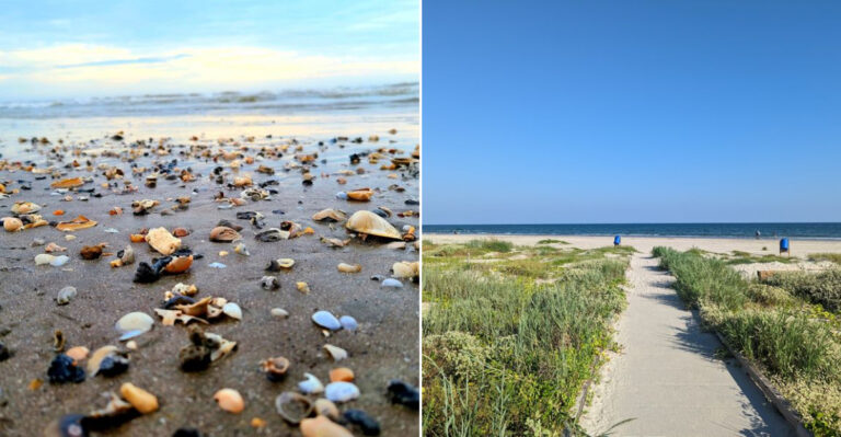 This Gorgeous Texas State Park Lets You Dig For Prehistoric Shark Teeth On A Secret Fossil Beach