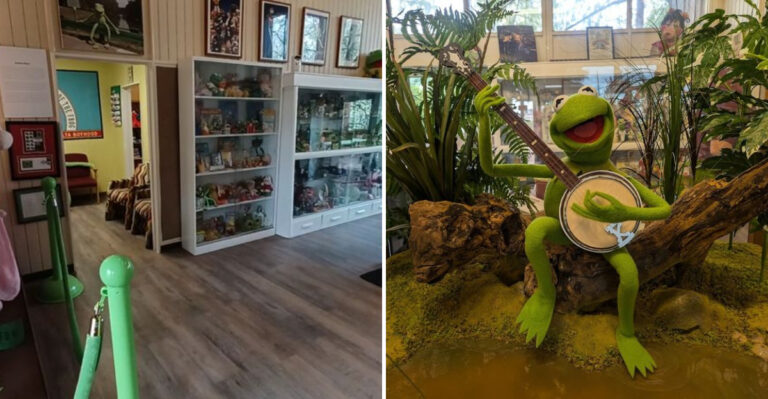 This Mississippi Attraction Is One Of The State’s Best-Kept Secrets And It Involves Kermit The Frog