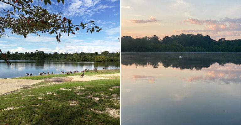 The Most Underrated Lake Just Outside Hattiesburg, Mississippi That Locals Swear By