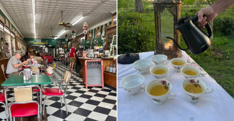 11 Mississippi Cafes And Tea Rooms Serving Scones, Sandwiches, And Southern Hospitality That Most Locals Never Find Anywhere Else