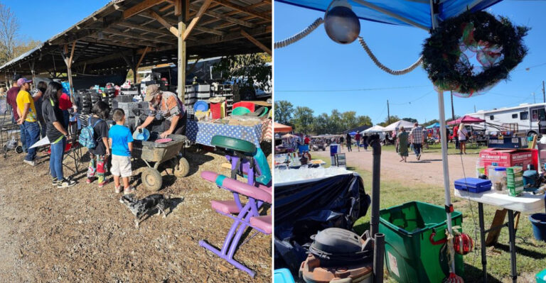 Discover the Massive Mississippi Flea Market With Incredible Bargains Under $20