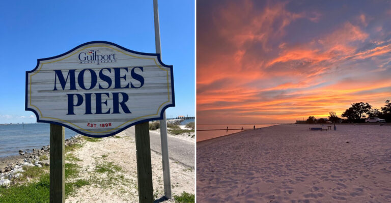 Mississippi Has 12 Beaches Where Beautiful Shells, Sea Glass, And Fossils Are Still Waiting To Be Found