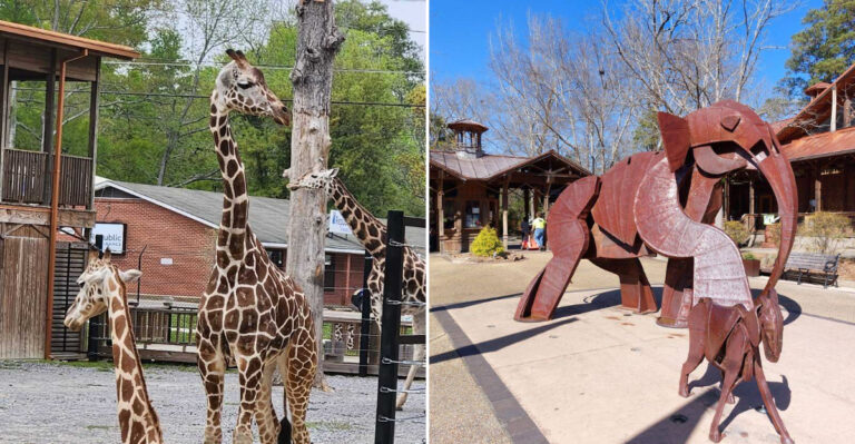 The Lesser Known Mississippi Zoo That Animal Lovers Need To Discover