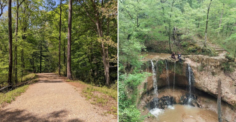 This Hidden Mississippi Waterfall Is One Of The State’s Best Kept Outdoor Secrets