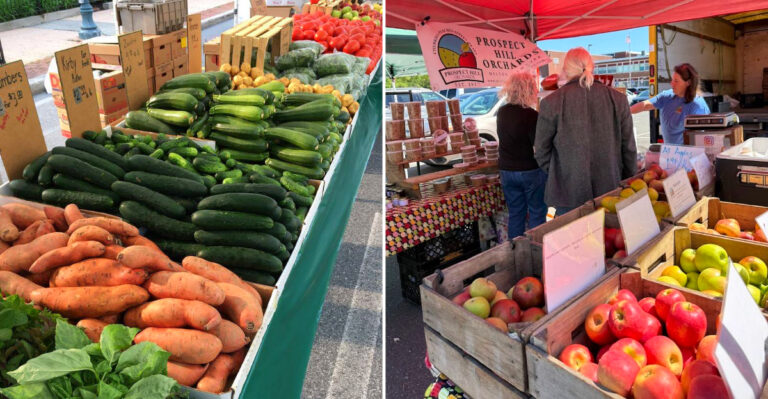 The Best Small-Town New York Markets To Stop At During Your Summer Road Trip