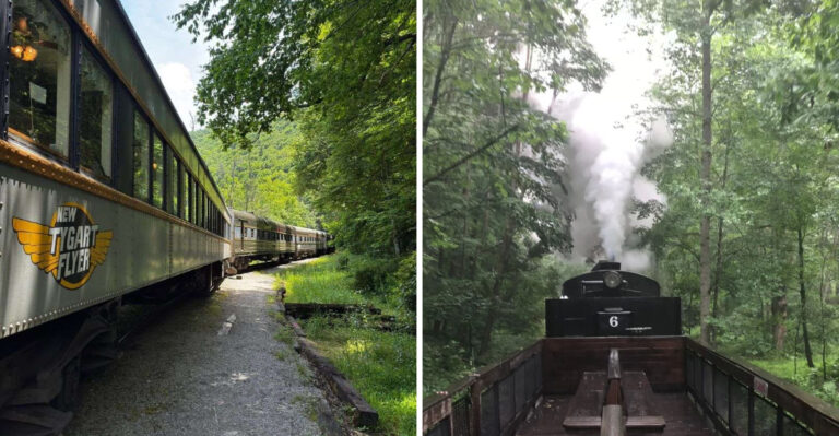 You’ll Fall In Love With These 7 Train Day Trips Across West Virginia