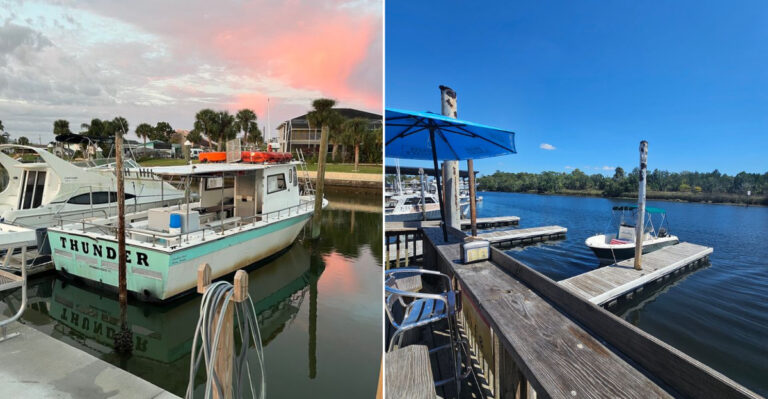9 Secret Florida Spots Where You Can Snorkel For Scallops Right Now