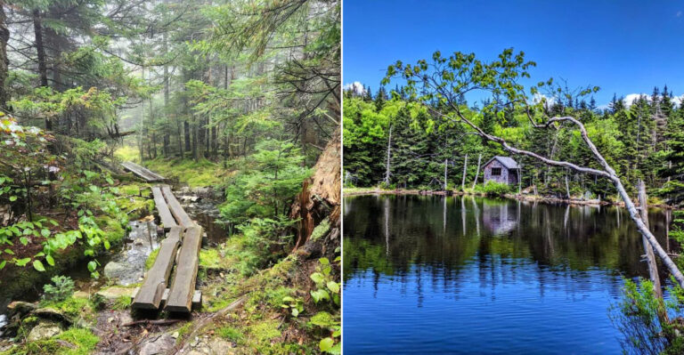 Massachusetts’ Oldest State Park Looks Almost Exactly Like It Did A Century Ago