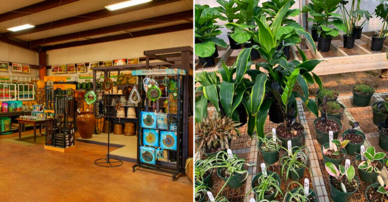 This Mississippi Nursery Has End-Of-Season Plant Deals Cheap Enough To Fill The Car Trunk