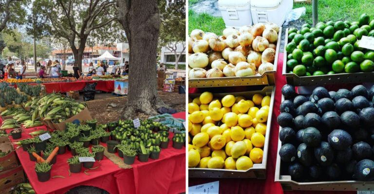 A Massive Farmers Market Overtakes This Florida Downtown Each Weekend