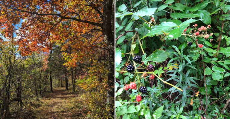 This Quiet Wisconsin Nature Center Is Perfect For A Relaxing Family Day Out