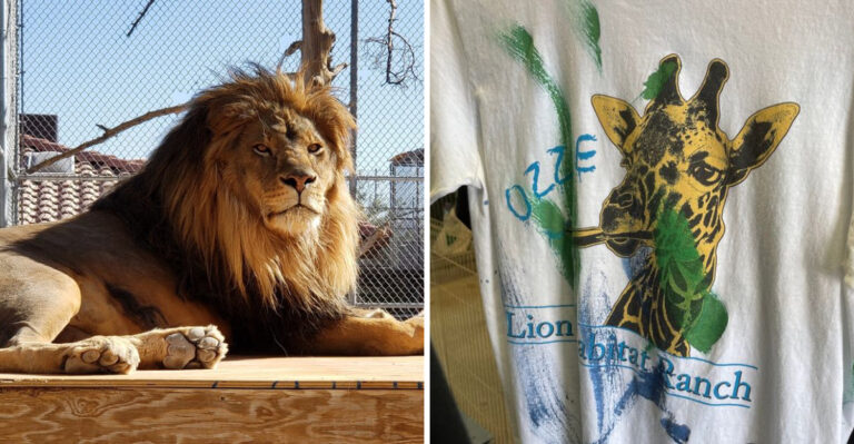 This Nevada Sanctuary Proves Rescued Animals Flourish When They’re Not Behind Bars