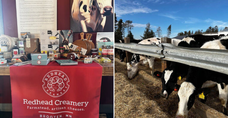 This Minnesota Dairy Farm Store Serves Some Of The Freshest Cheese Curds You Can Buy