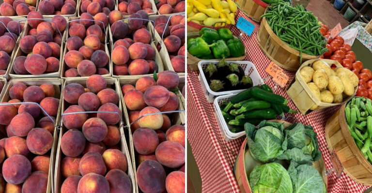 Visit This Charming Mississippi Farm Stand For The Freshest Sweetest Peaches
