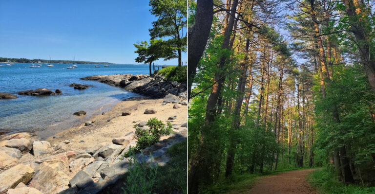 These Scenic Walking Trails Near Salem, Massachusetts Are Perfect For A Day Out
