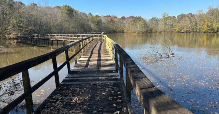 These Tennessee Boardwalk Trails Give Families Beautiful Views Without A Tough Hike In 2026