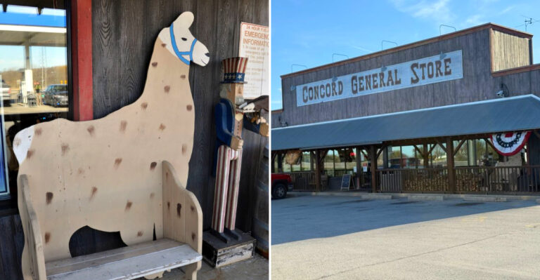 There’s A Quirky Petting Zoo Hiding At This Unassuming Convenience Store In Wisconsin